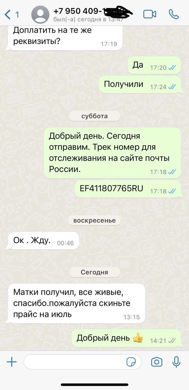 Отзыв