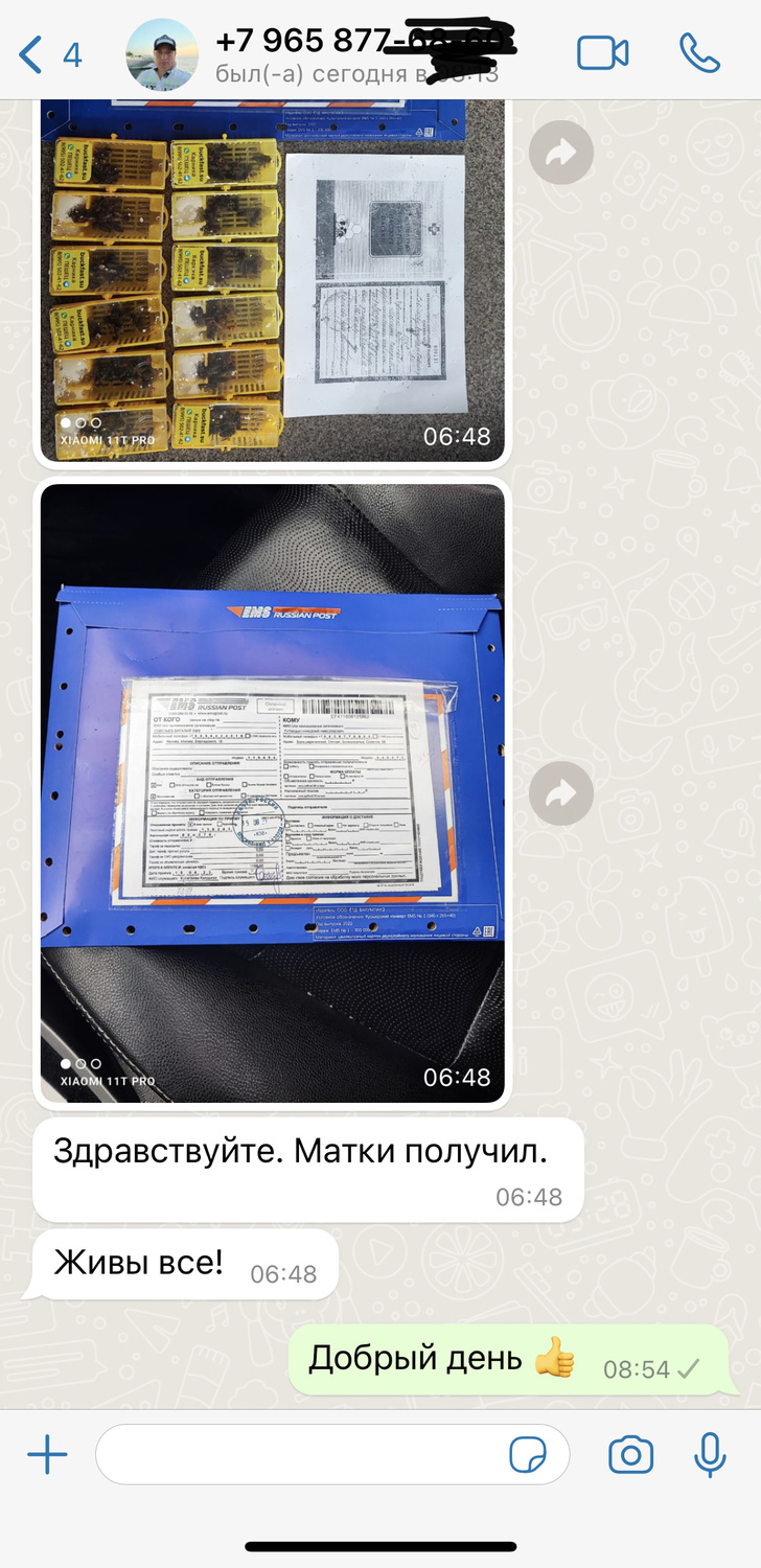 Отзыв