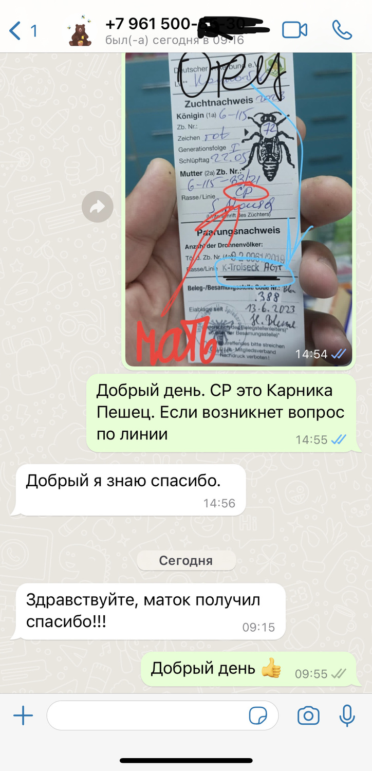 Отзыв