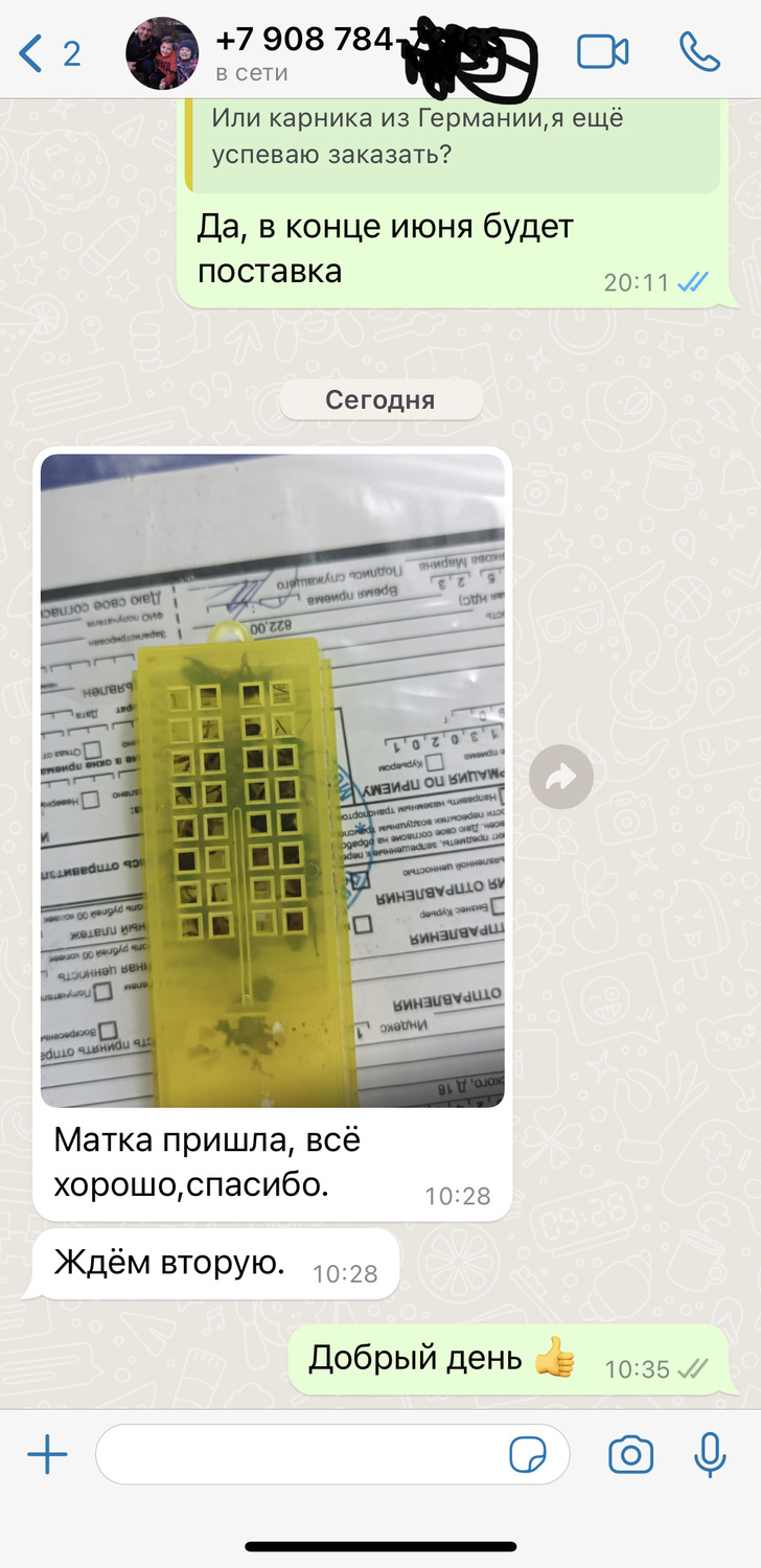 Отзыв