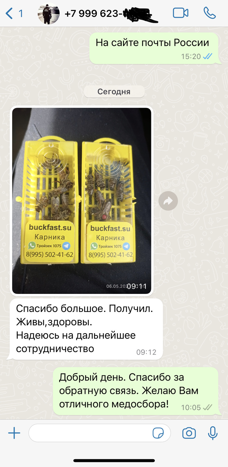 Отзыв