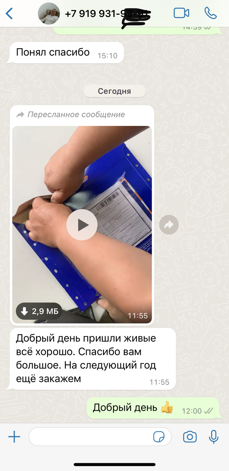 Отзыв